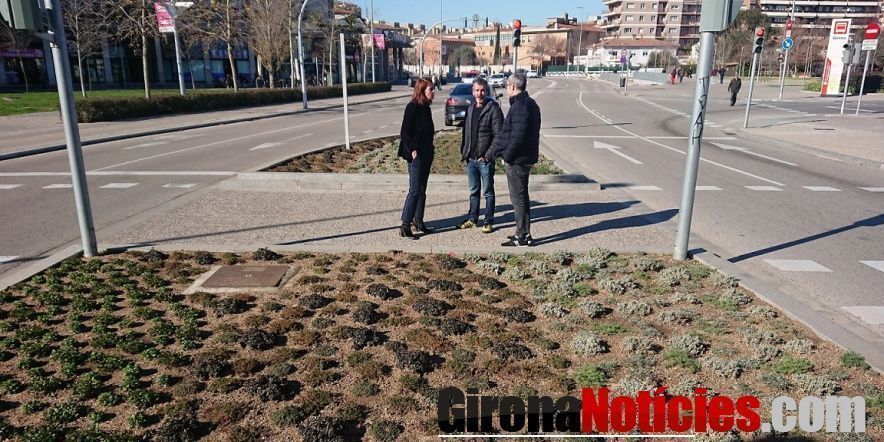 Visita enjardinament plaça d'Europa 