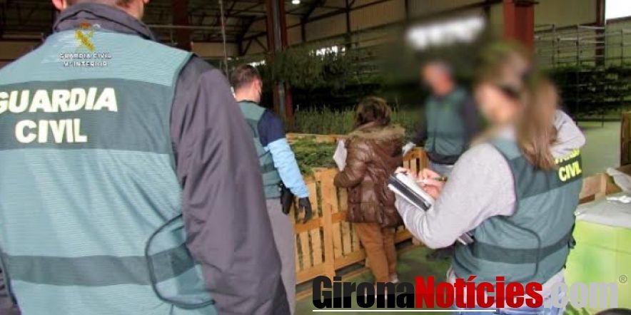 Guardia Civil 