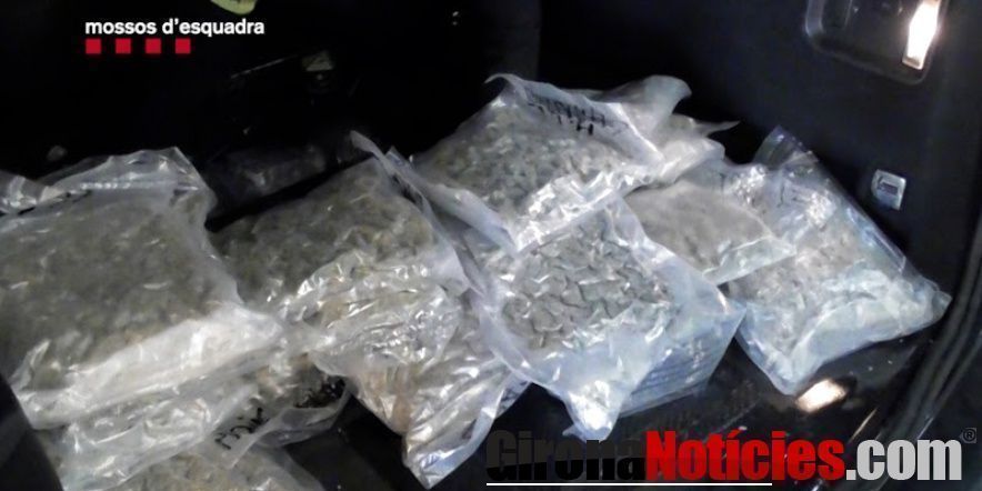 Mossos d'Esquadra 