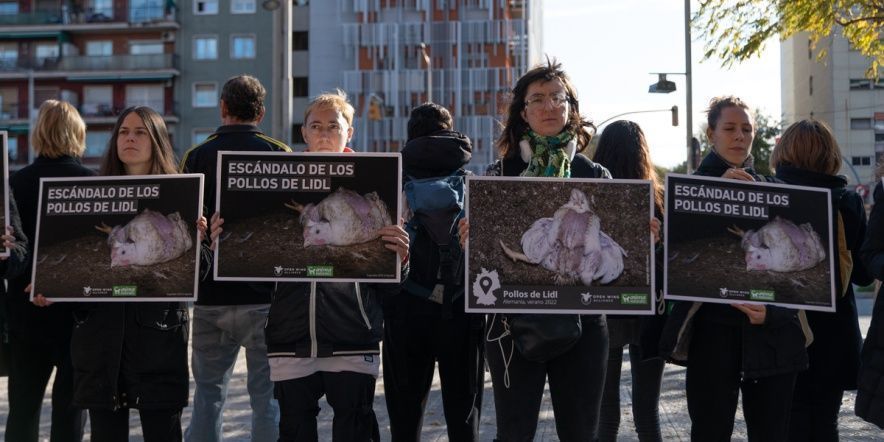 Animalistas 