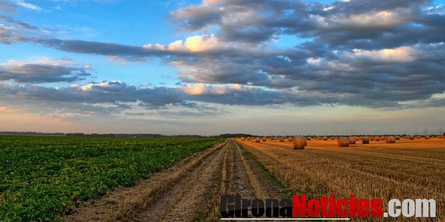 Agricultura 