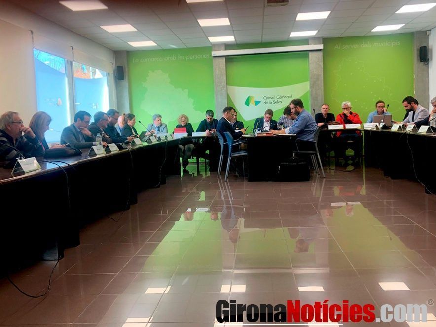 Ple Consell Comarcal de la Selva 