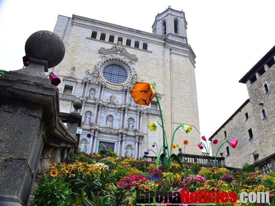 Temps de Flors - © Albert Busquets / GN 