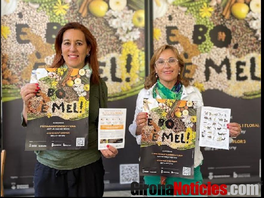 Ajuntament de Banyoles 