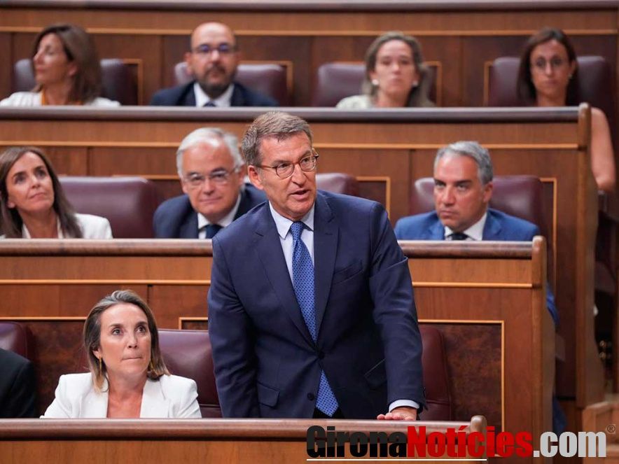 Núñez Feijóo en el Congreso de los Diputados 