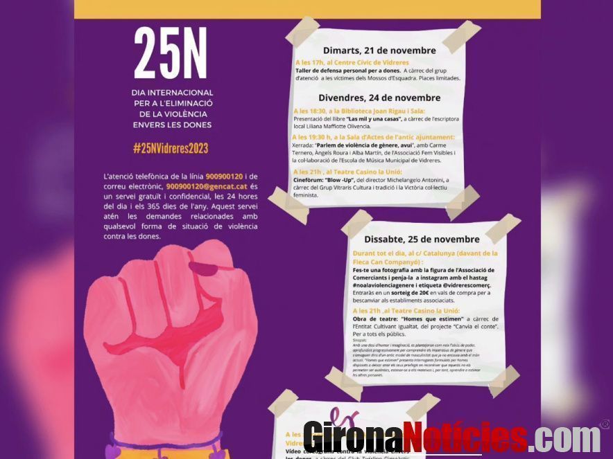 Dia Internacional per a l'Eliminació de la Violència envers les Dones 