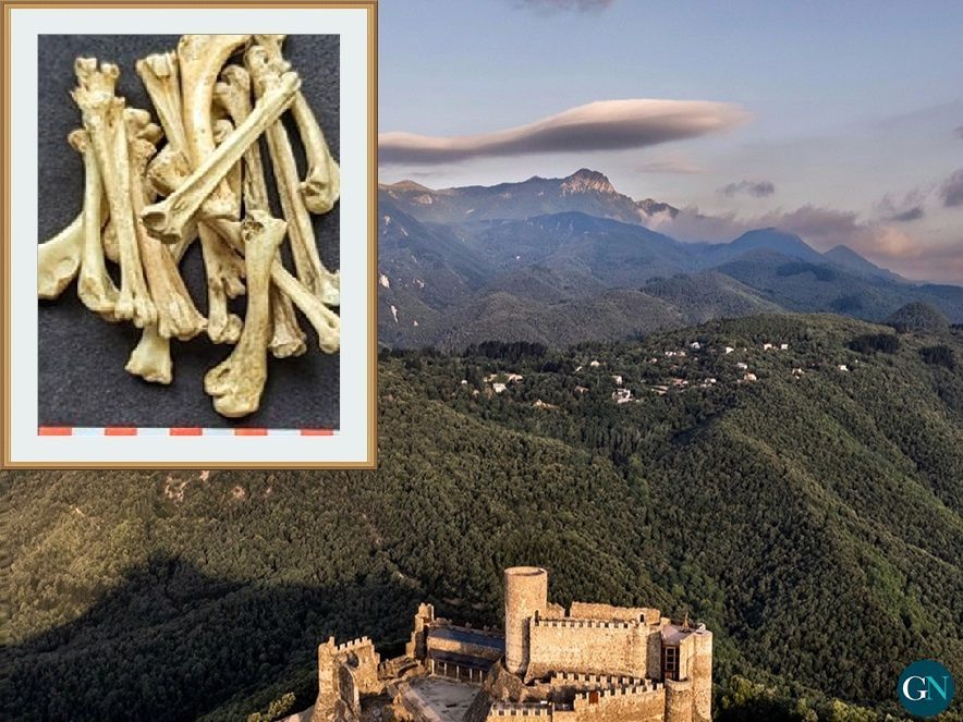 Castell de Montsoriu  