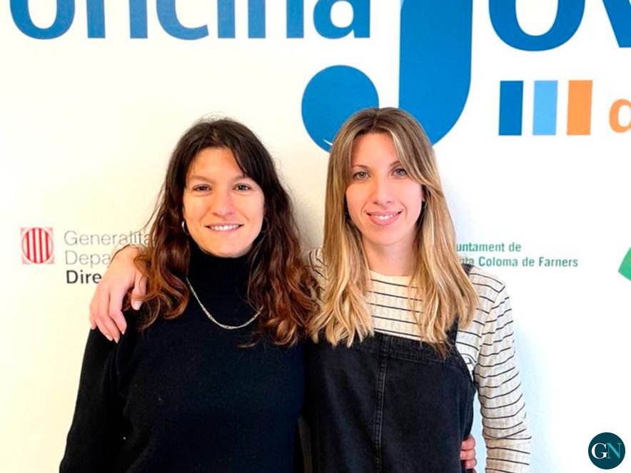 Consell Comarcal 