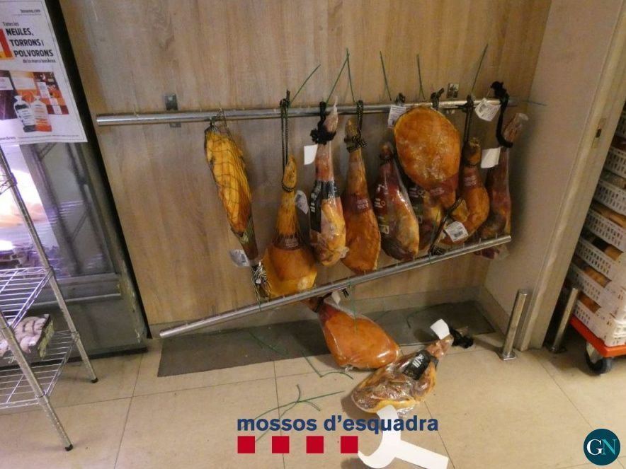 Mossos d'Esquadra 