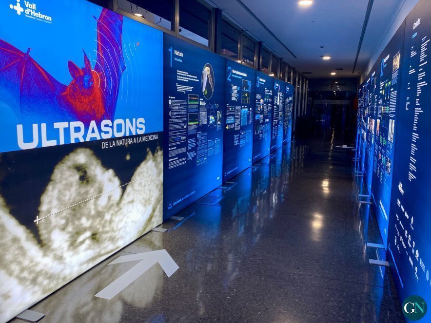 Exposicio? Ultrasons Vall d'Hebron 