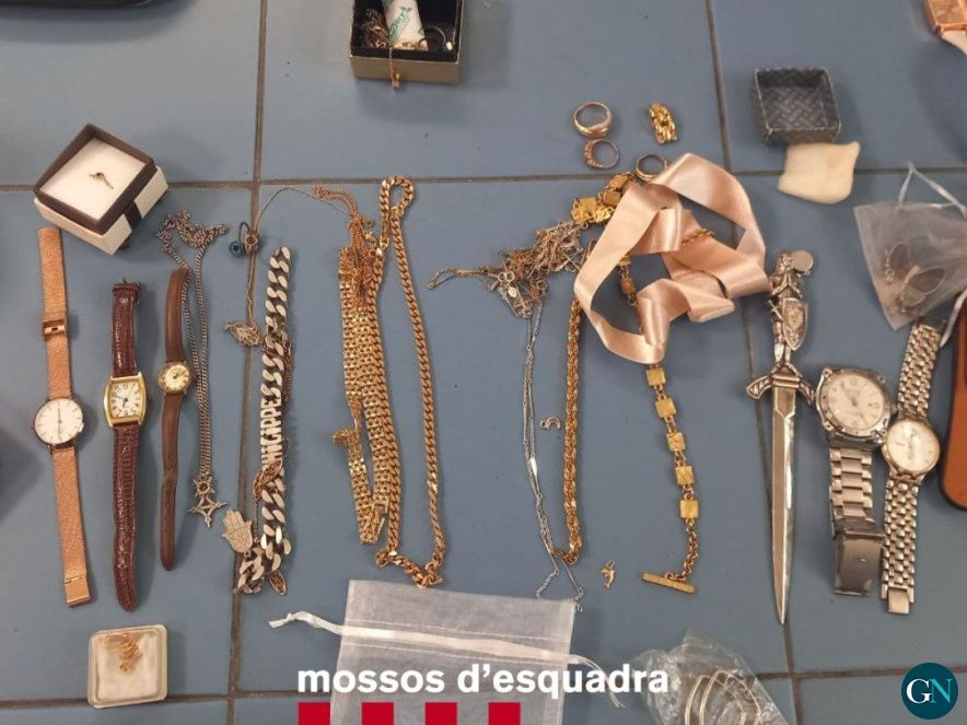 Mossos d'Esquadra