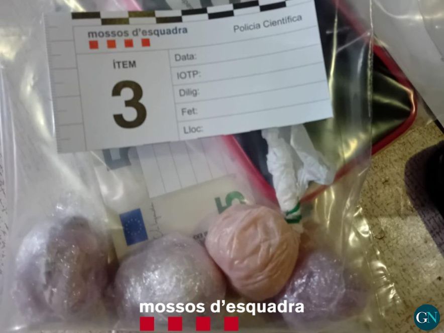 Mossos d'Esquadra 
