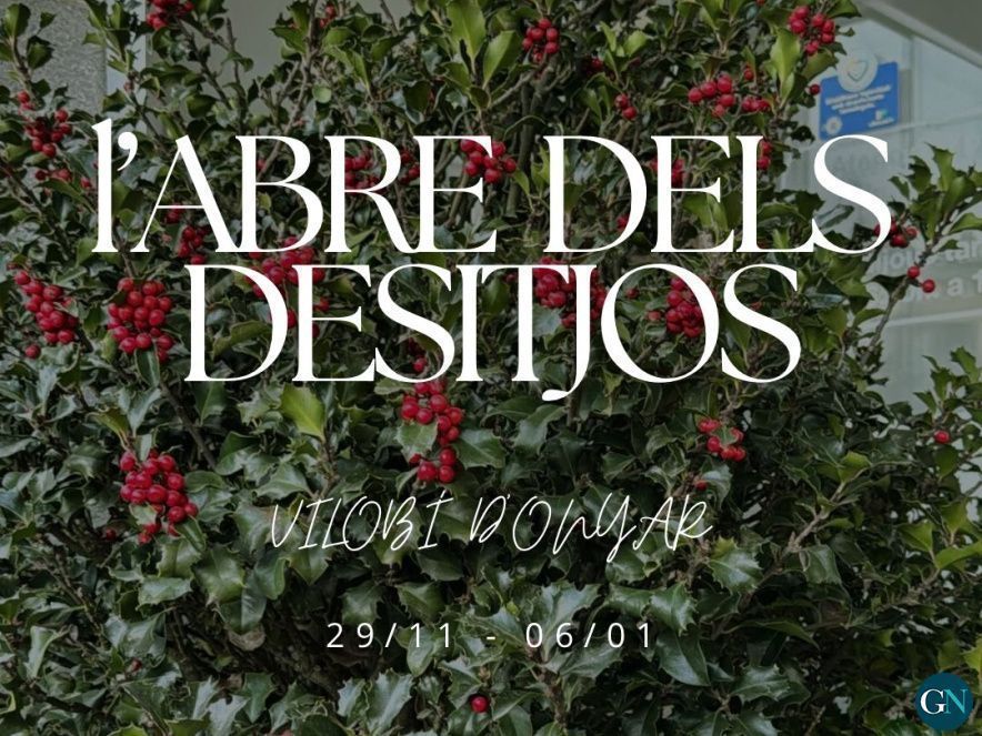L'Arbre dels Desitjos 