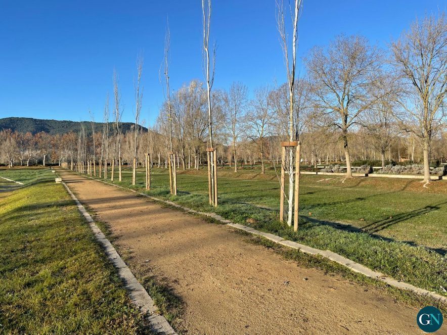 Arbres replantats La Draga / Aj.Banyoles 