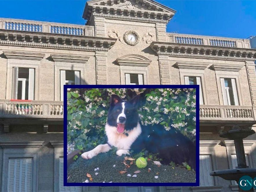Ajuntament de Banyoles - Lucky / GN 
