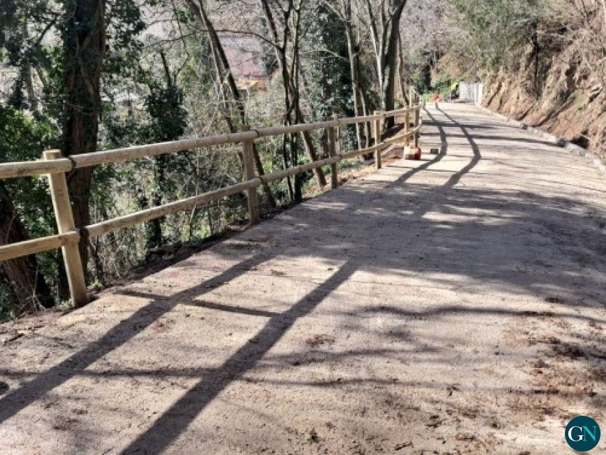 Consell Comarcal de la Selva 