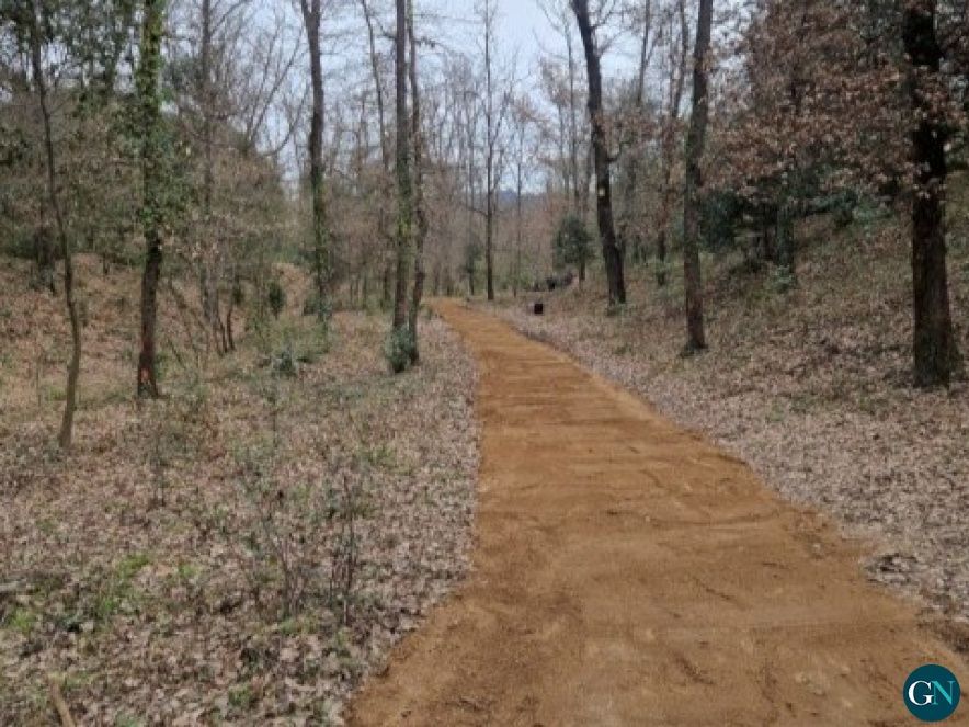 Parc ornitològic a Riells i Viabrea / CCSelva 