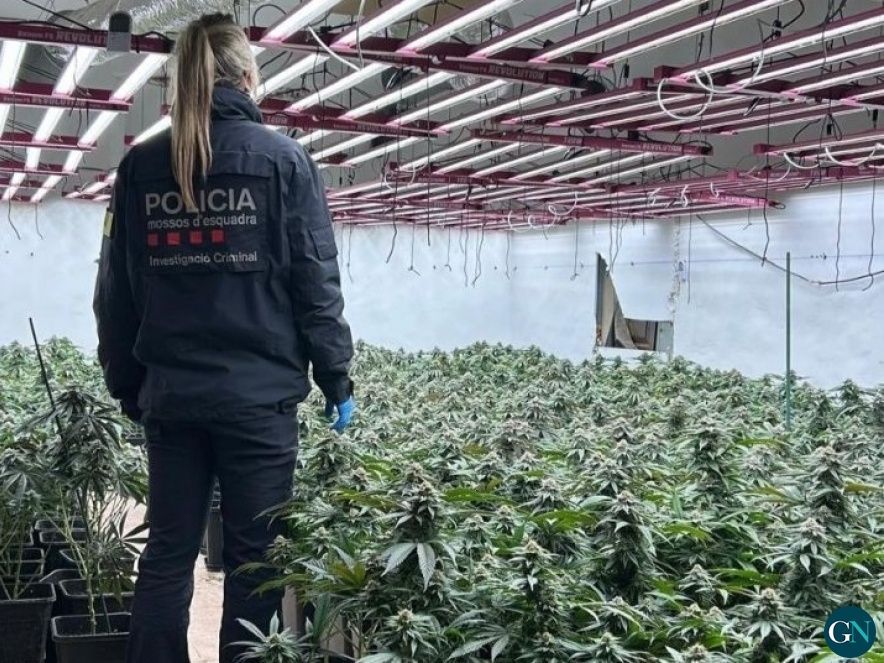 Mossos d'Esquadra  / GN 