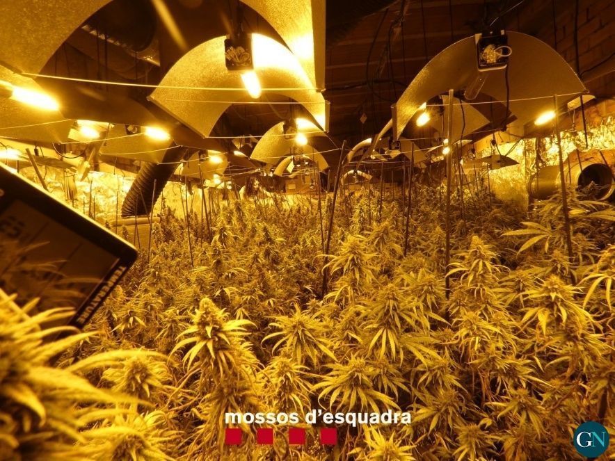 Mossos d'Esquadra  / GN 