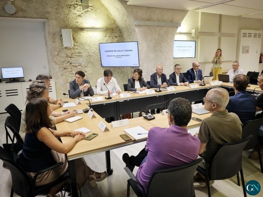 Constitució Grup Permanent 