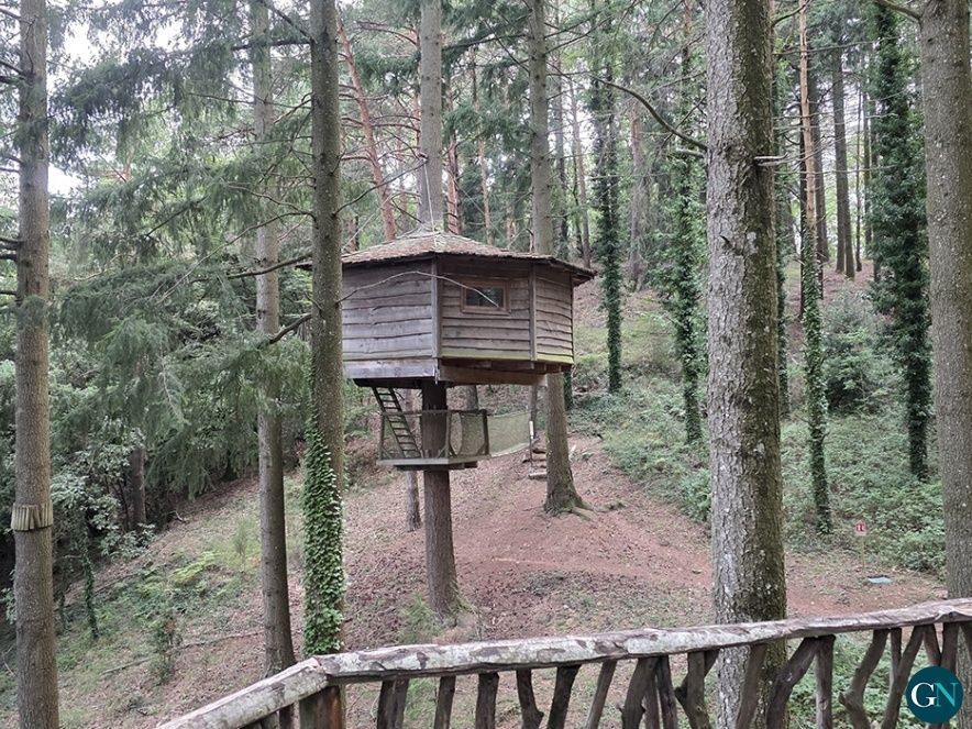 Cabanes als Arbres / GN 