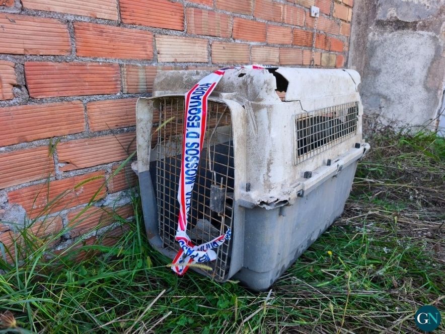  Mossos d'Esquadra 