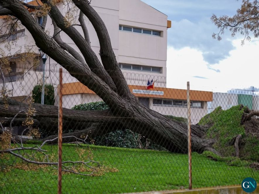 Tempête Nyls /  / © Ville de Perpignan 