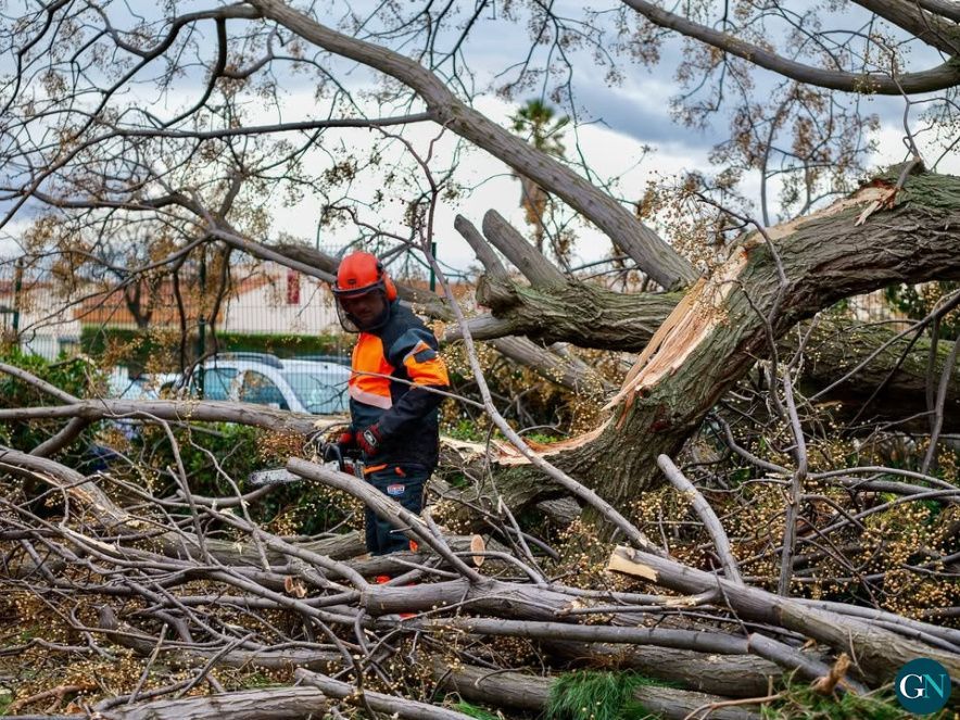 Tempête Nyls / / © Ville de Perpignan  