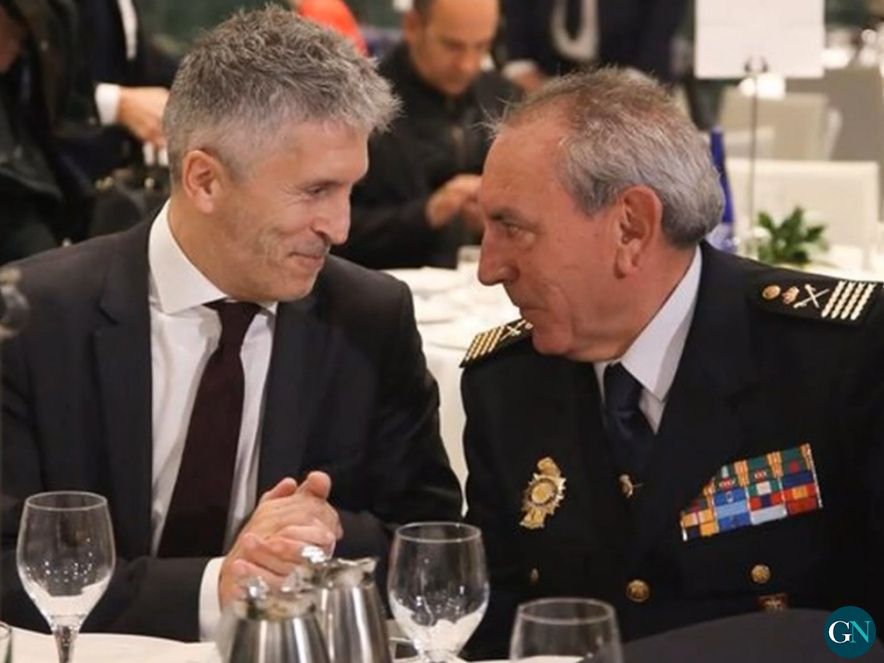 Director Adjunto Operativo (DAO) Policia Nacional 