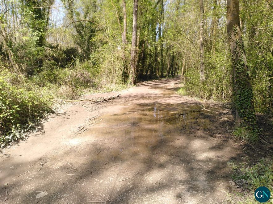 Camí del Nord