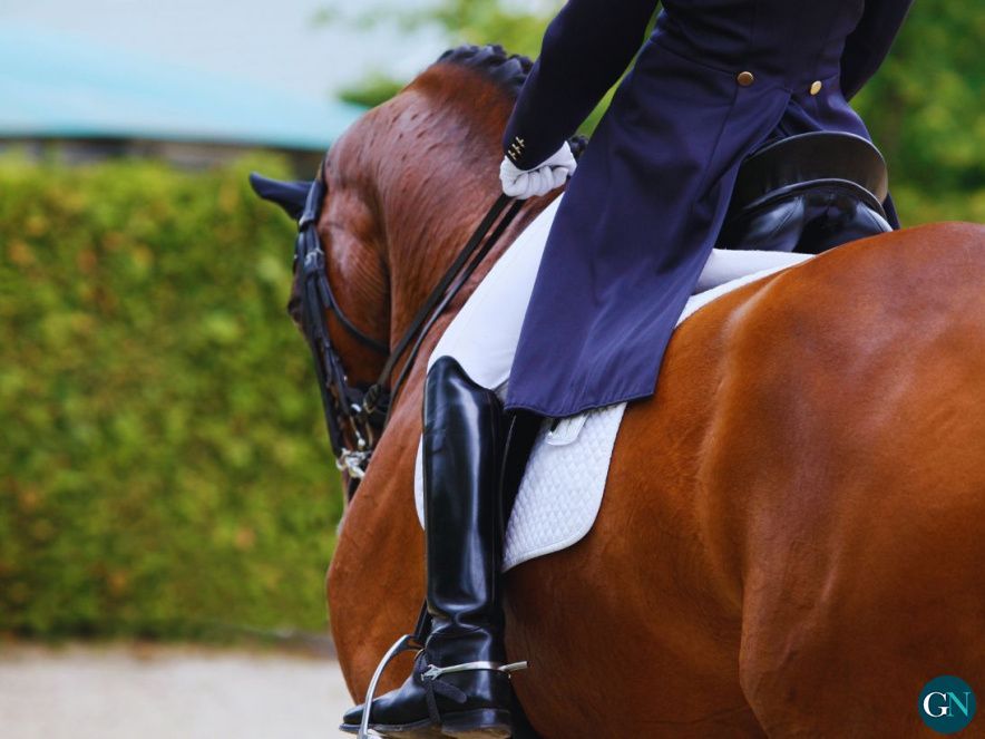 Equi For All