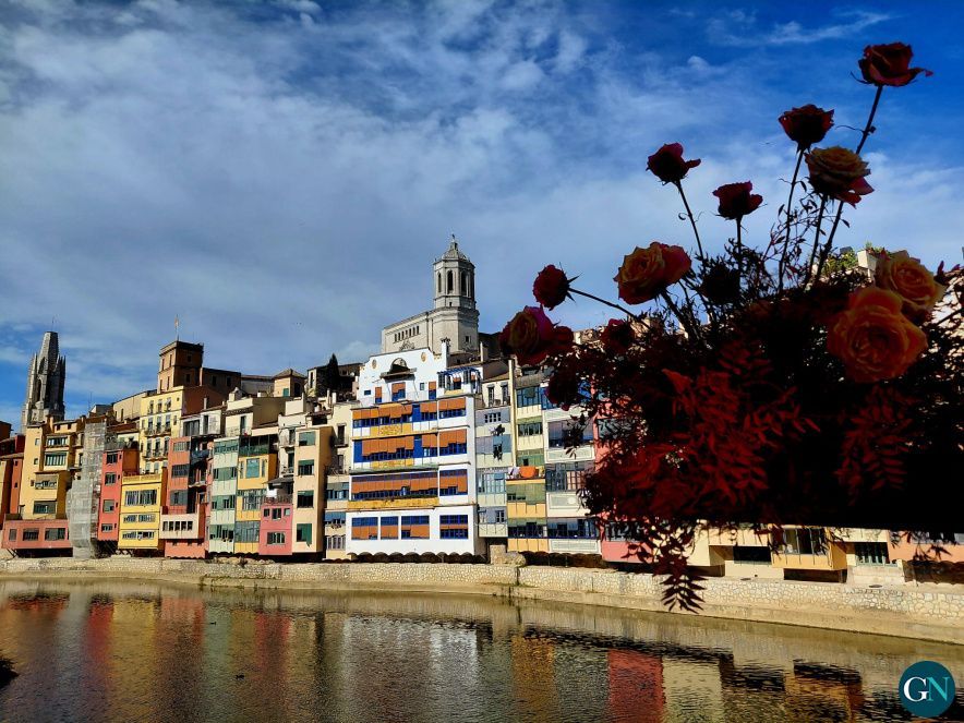 Temps de Flors - Maria Plaja / GN