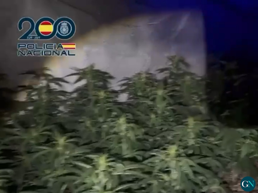Policia Nacional  / GN 