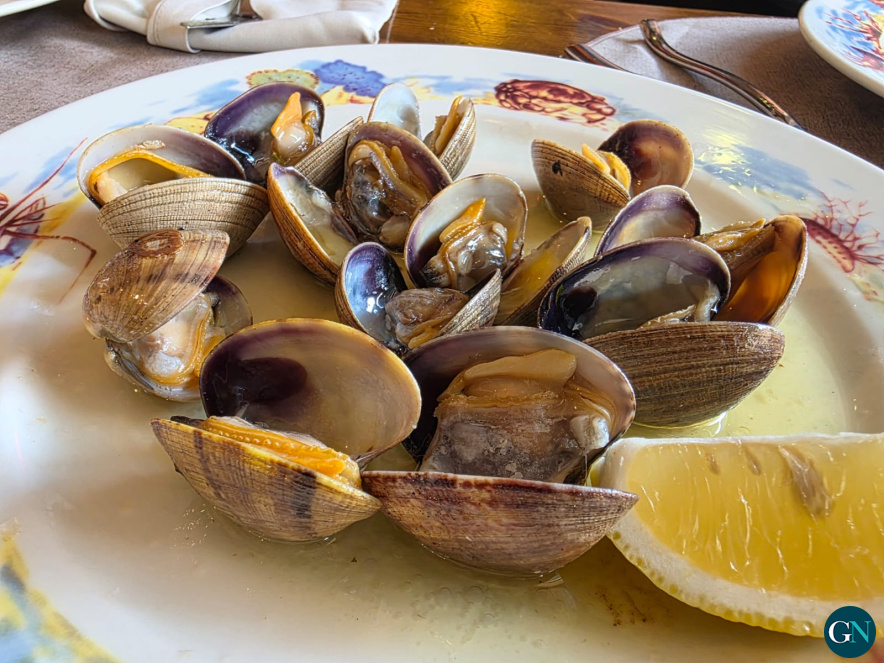 alt - Casa Gallego / GN 