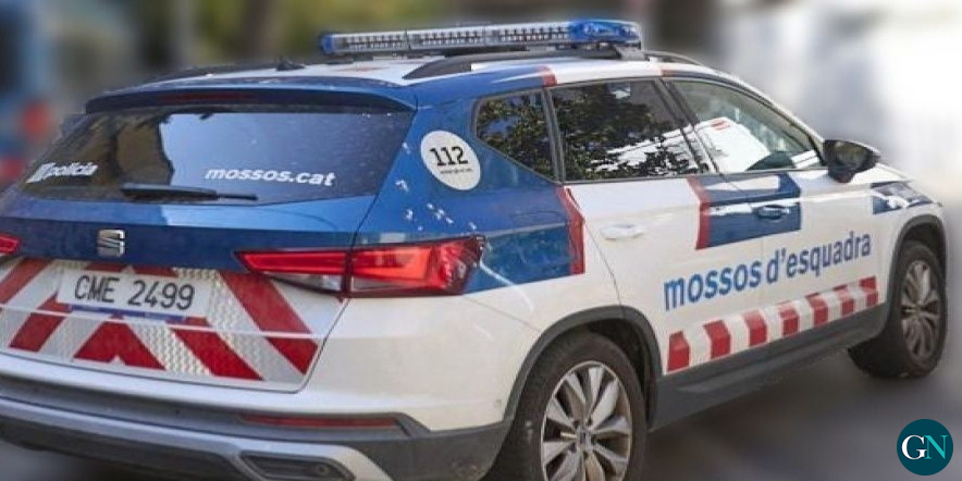 alt - Detingut un lladre especialitzat en el mètode de 
