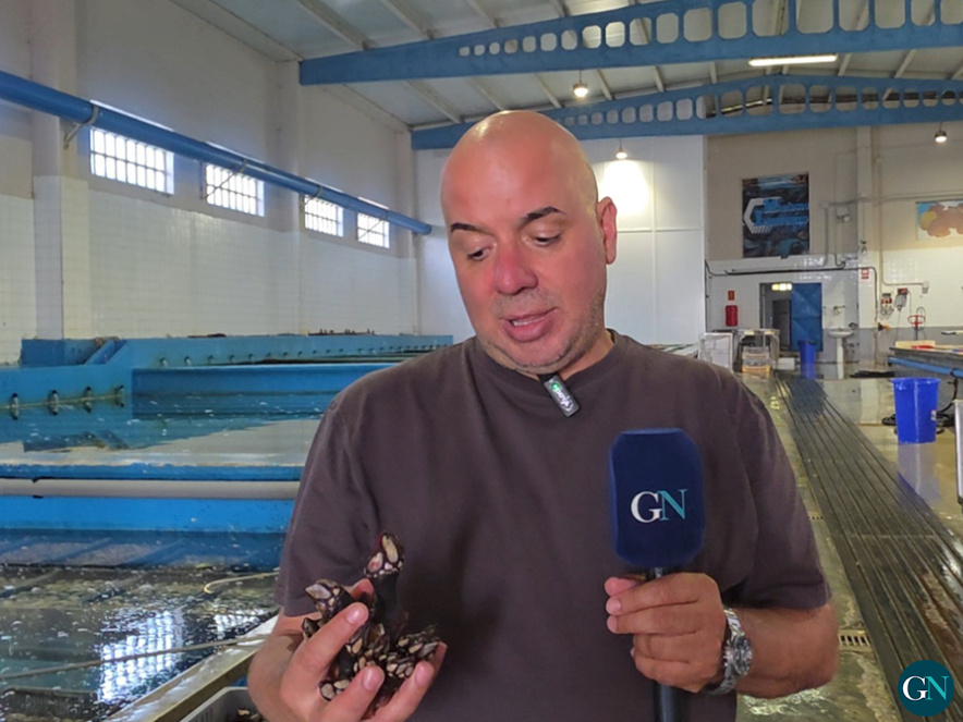 alt - Fernando Oubiña en Girona Notícies