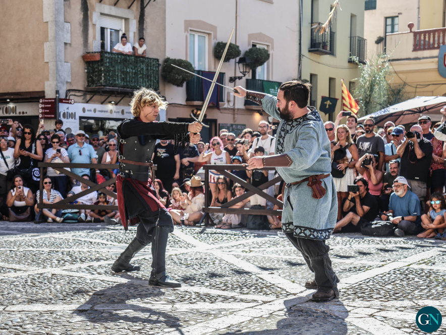 Terra de Trobadors - Manel Puig / GN 