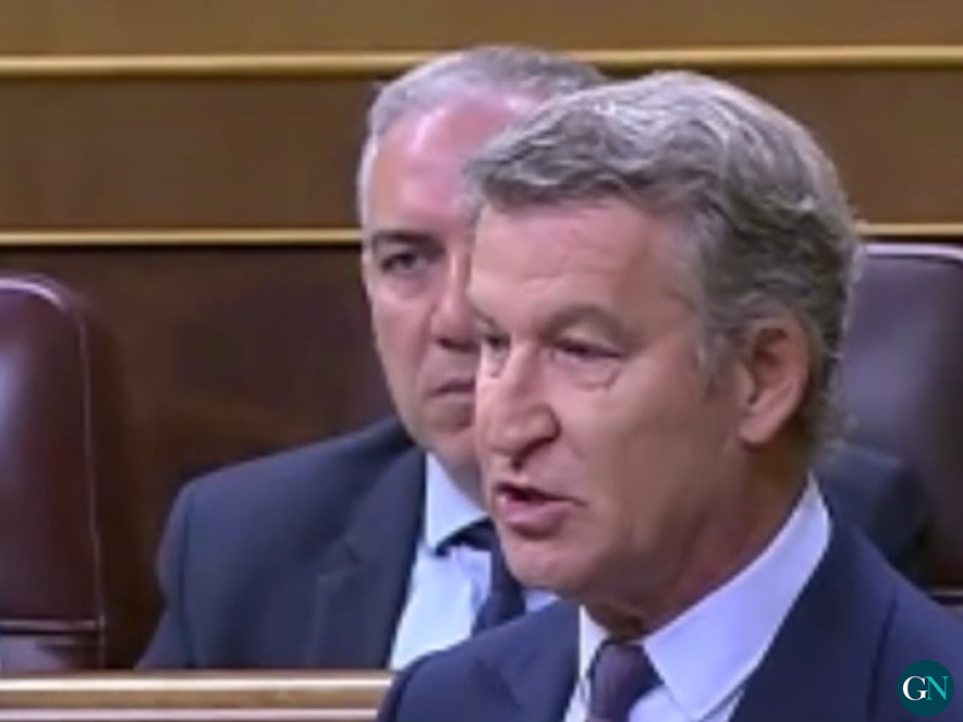 Feijóo en el Congreso de los Diputados / GN 
